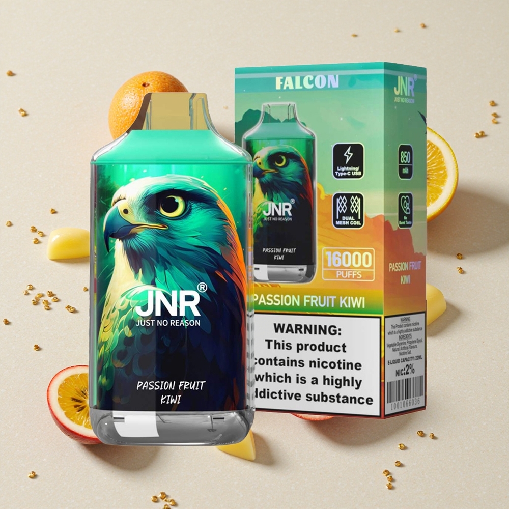 JNR Falcon 16000 Puffs Skořice Kiwi 850 mAh 22ml Dual Mesh Coil