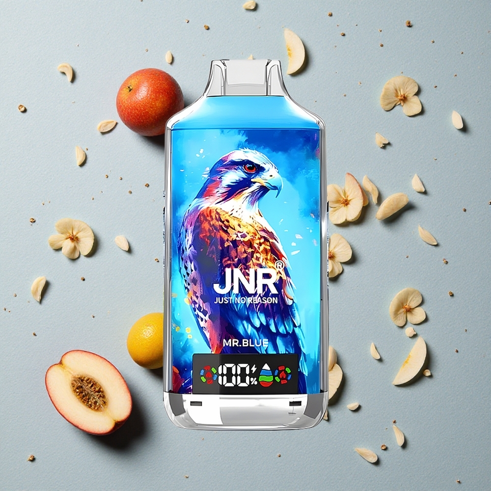 JNR Falcon X 18000 Puffs 24ml Mr. Blue 750mAh Baterií
