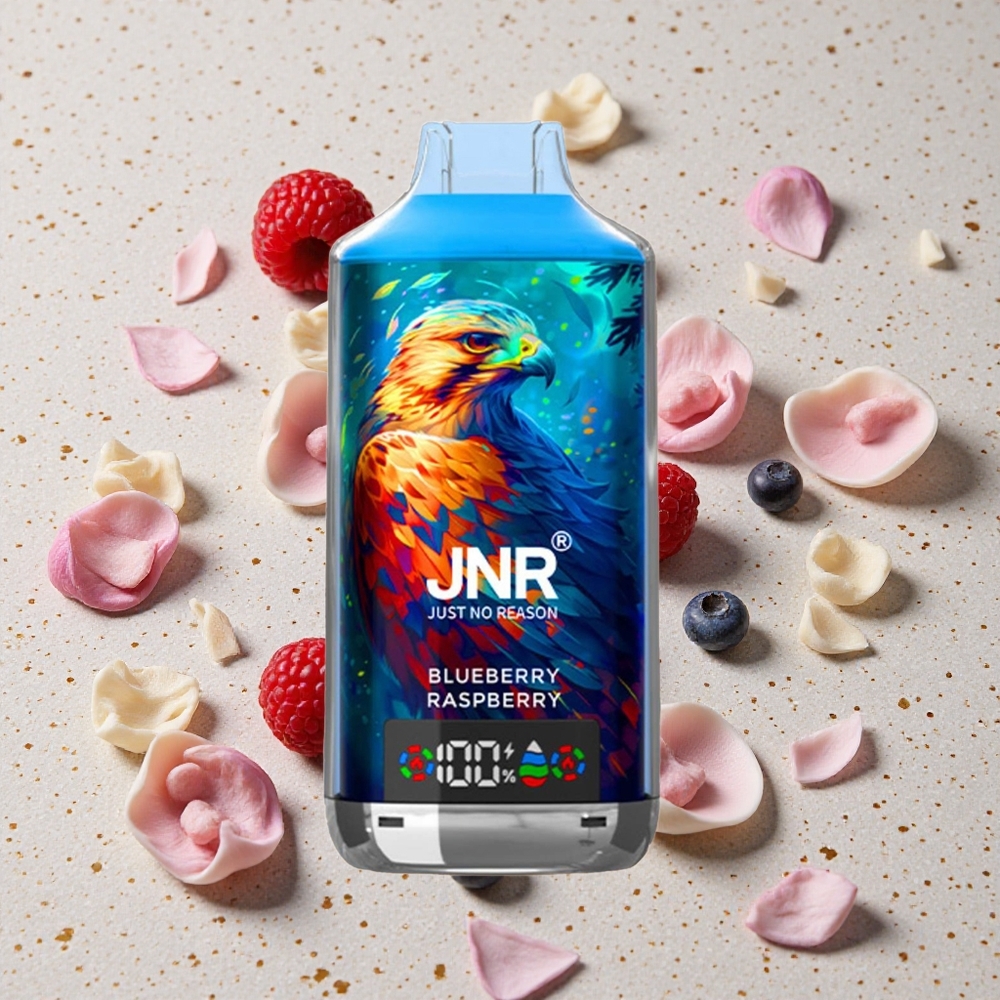 JNR Falcon X 18000 Puffs Jednorázová Vape Borůvka Malina 750mAh 24ml