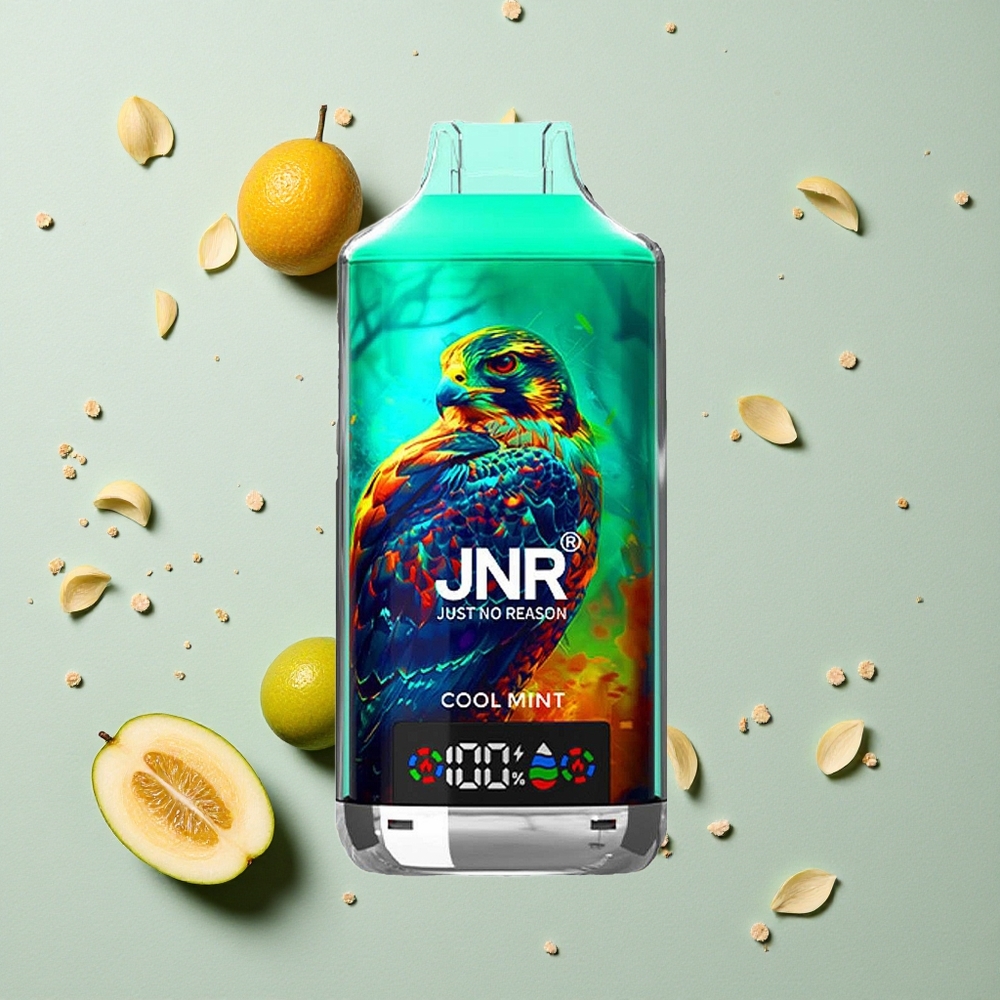 JNR Falcon X 18000 Puffs Jednorázová Vape Chladivá Máta 750mAh 24ml Dvojitá síťová cívka a dvojité jádro