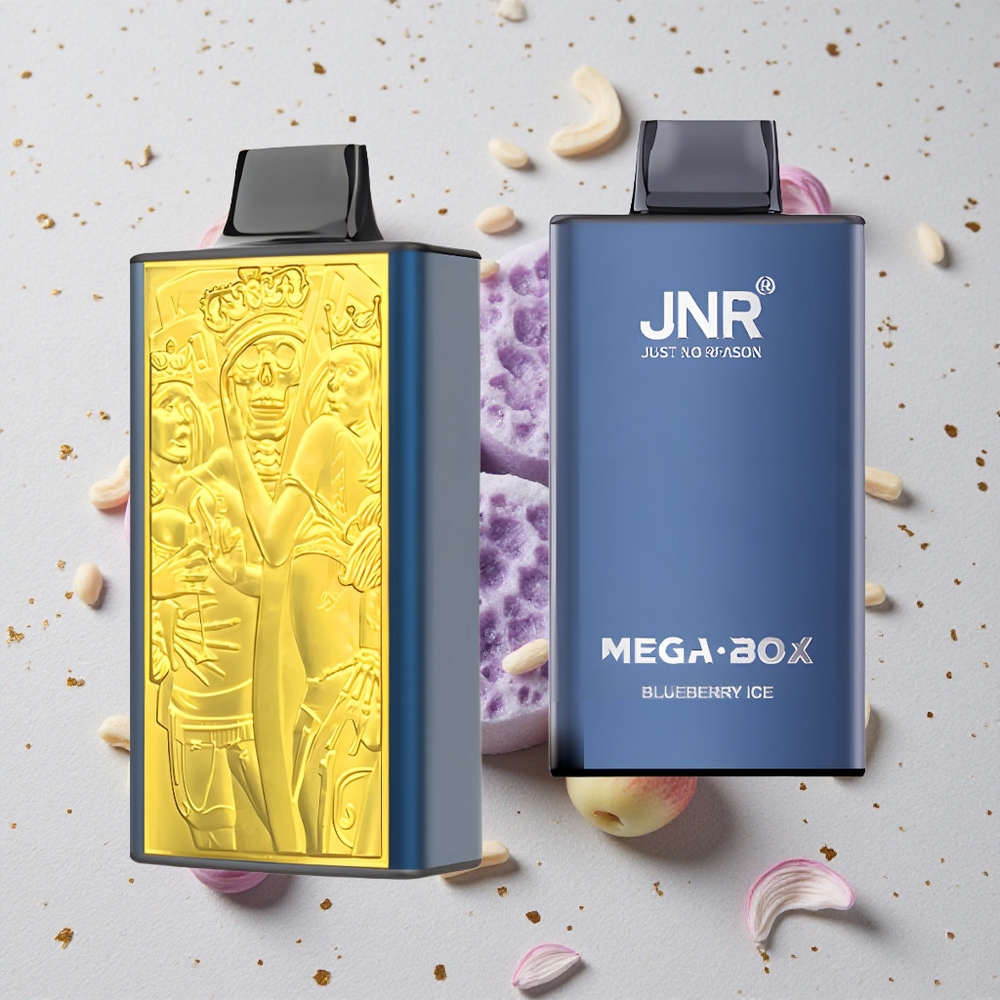 JNR Mega Box 25000 Puffs Jednorázová Vape Borůvkový Led 30ml E-liquid 850mAh Baterie