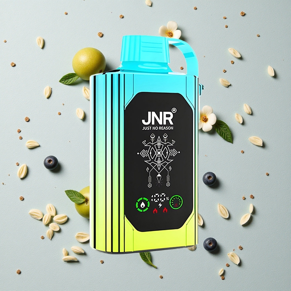 JNR Shisha Hookah Box 20500 Puffs Jednorázová Vape Borůvka Máta HD Display Dvojitá síťová cívka a dvojité jádro