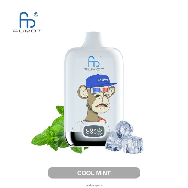 Fumot Original RandM Digital Box 12000 baterie a kapalný displej vape zařízení chladná máta RandM vape supplier - 0244R1