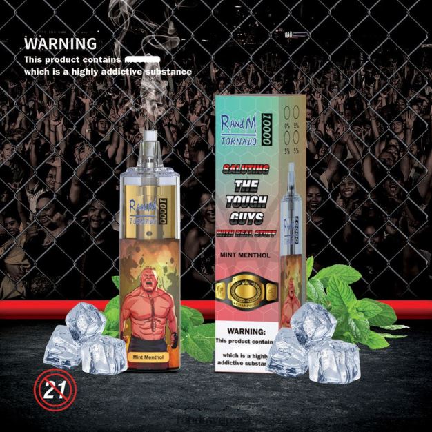 RandM Tornado Zařízení pro regulaci průtoku vzduchu 10000 vape 1ks mátový mentol RandM vape Czech Republic - 0244R110
